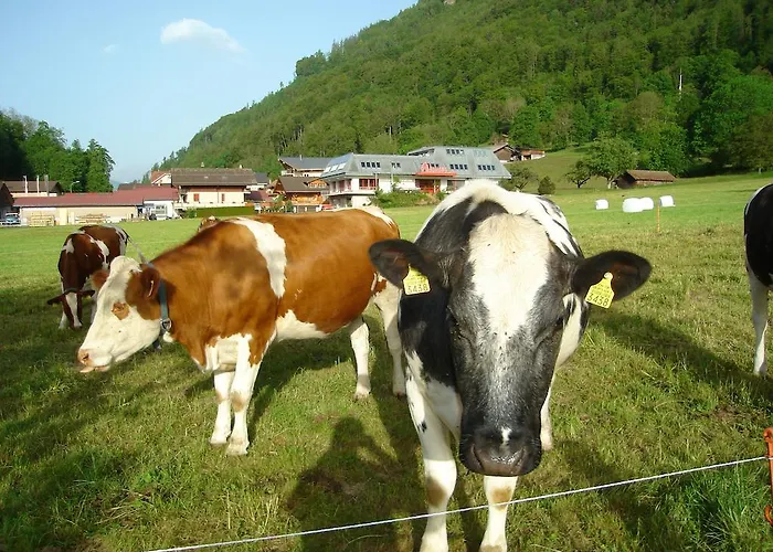 ميلان بي&بي